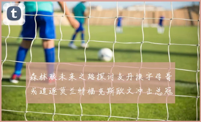 森林狼未来之路探讨麦丹换字母哥或追逐莫兰特福克斯欧文冲击总冠军